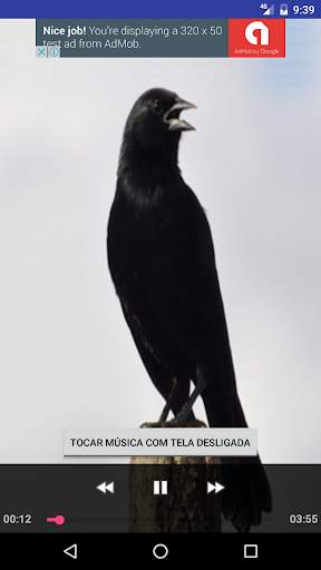 Black Bird screenshot 1