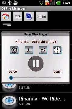 Picus Wav Player Trial screenshot 3