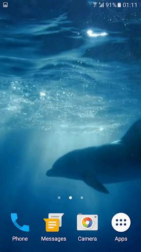 Dolphins 3D Video Wallpaper screenshot 4