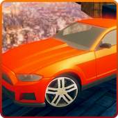 Crazy Car Stunt Driving 1.2