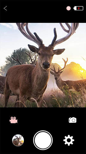 WiFi Hunting Camera screenshot 2