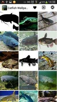 Catfish Wallpapers screenshot 1