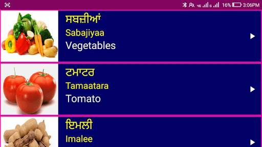 Learn Punjabi From English screenshot 14