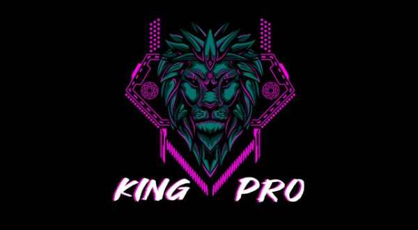 King Pro скриншот 2
