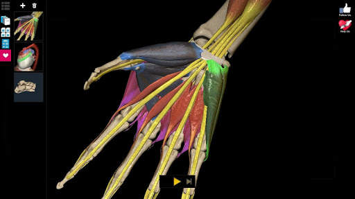 Anatomy Learning - 3D Anatomy Atlas screenshot 12