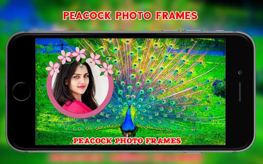 Peacock Photo Frames 1 تصوير الشاشة