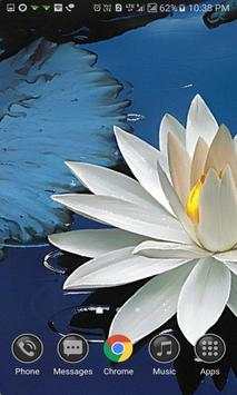 Shiny Lotus Live Wallpaper screenshot 2