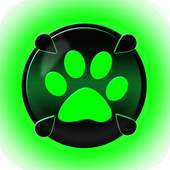 Miraculous Flashlight and torch Cat noir 1.0.0
