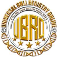 UBRO User Register on 9Apps