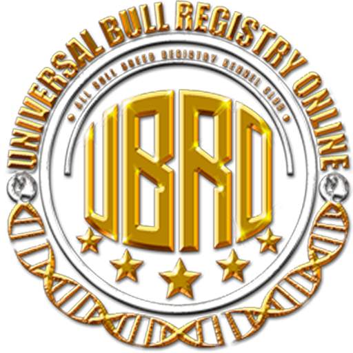 UBRO User Register 1.0