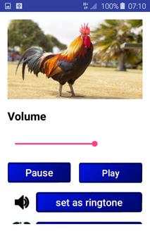 Birds Songs and Sounds (HD Sounds) screenshot 5