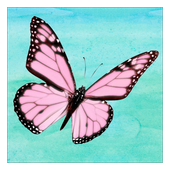 Kissy Project icon