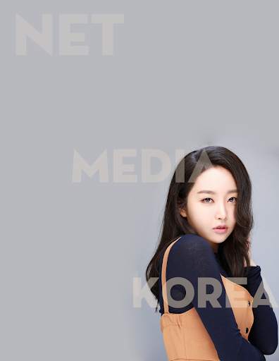 Punch Album Offline screenshot 1