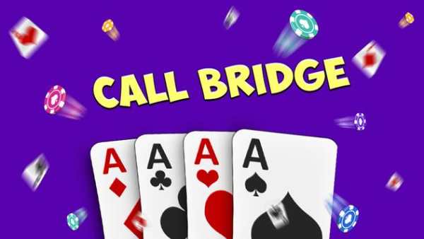 Call Bridge screenshot 1