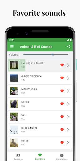 Suoni di uccelli e animali screenshot 5
