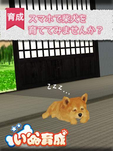 Shibainu Simulation Game 3D screenshot 4