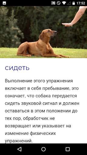 Тренировочный курс для собак скриншот 3