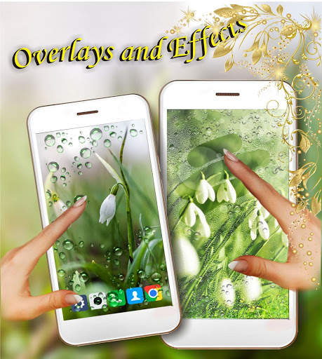 Snowdrops Spring live wallpapar screenshot 3