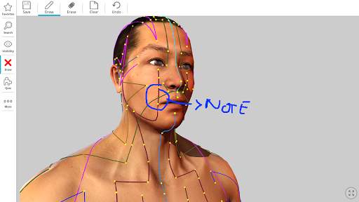 Visual Acupuncture 3D स्क्रीनशॉट 6
