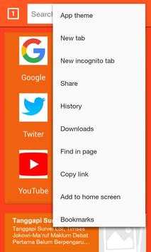 India Browser screenshot 2