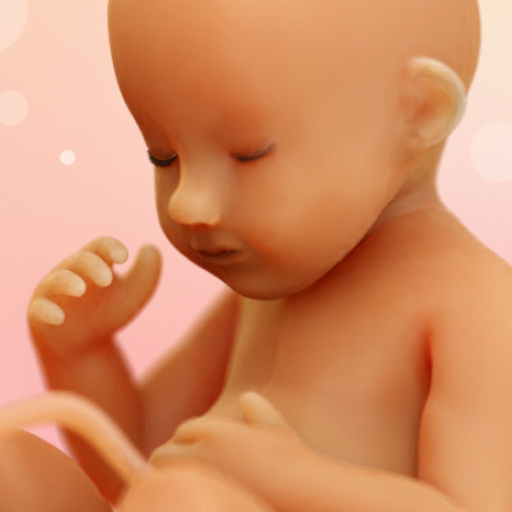 WeMoms Pregnancy Baby Tracker icon