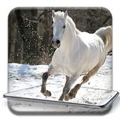 Running Horse pictures and Live wallpaper 1.1.1