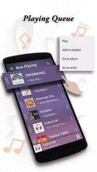 Ekstar Audio Player screenshot 2