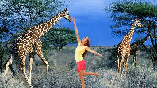 Wild Animal Photo Editor Frame screenshot 12