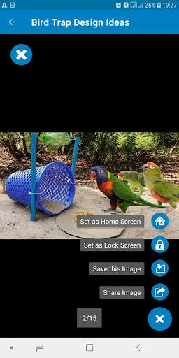Bird Trap Design Ideas screenshot 5