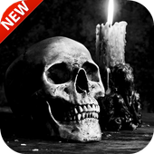 Skull Wallpapers icon