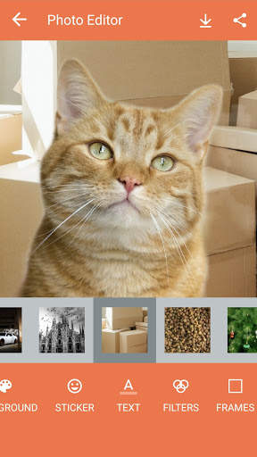 Pet Photo Editor screenshot 6