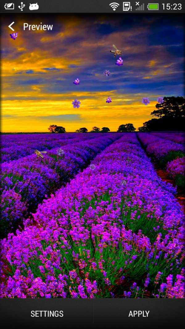 Lavender Live Wallpaper screenshot 1