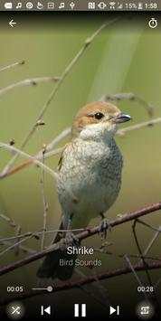 Bird Sounds screenshot 3