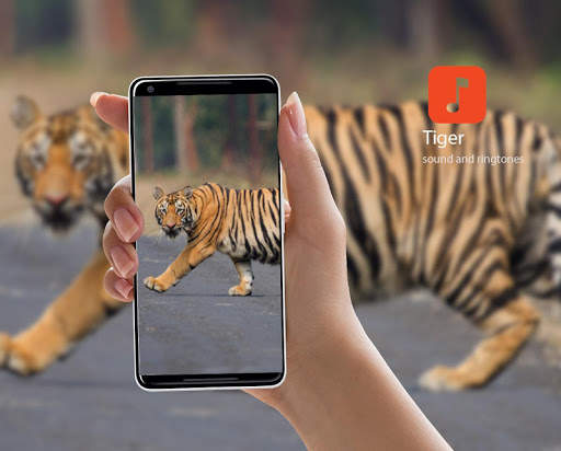 Tiger Sound Ringtones screenshot 1