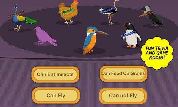 Bird Quiz screenshot 3