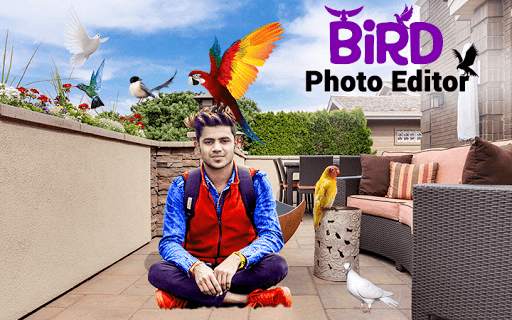 Bird Photo Editor screenshot 1