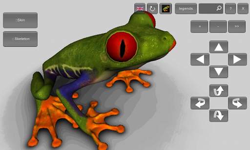 3D Frog Skeleton screenshot 2