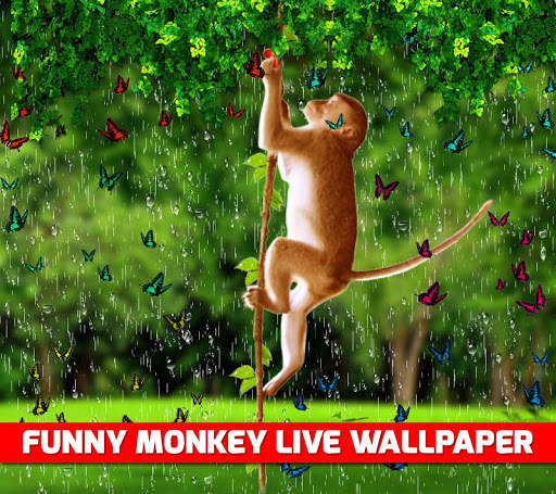 Funny Monkey Live Wallpaper screenshot 6