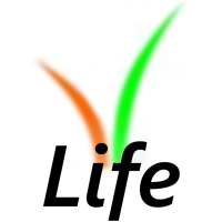Dr. Singh's City Hospital Online logo