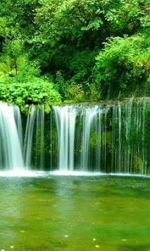 Green Nature wallpaper screenshot 6