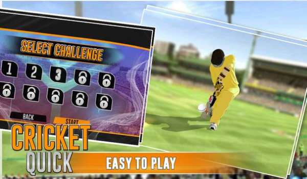 Quick Cricket screenshot 2