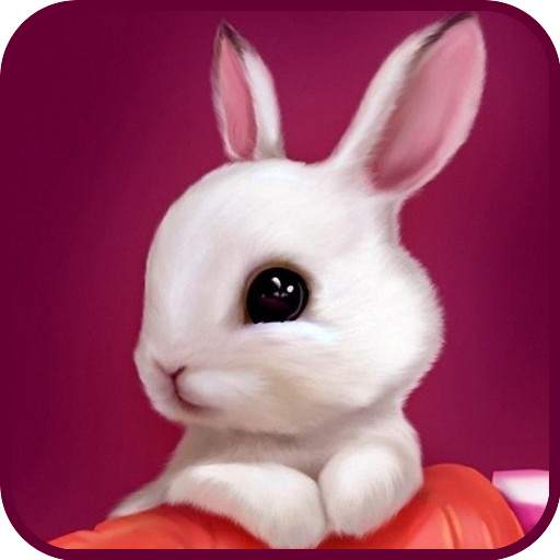 Bunny Wallpaper 1.5