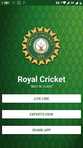 Royal Cricket screenshot 1