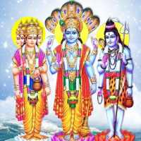 Om Namo Narayan icon