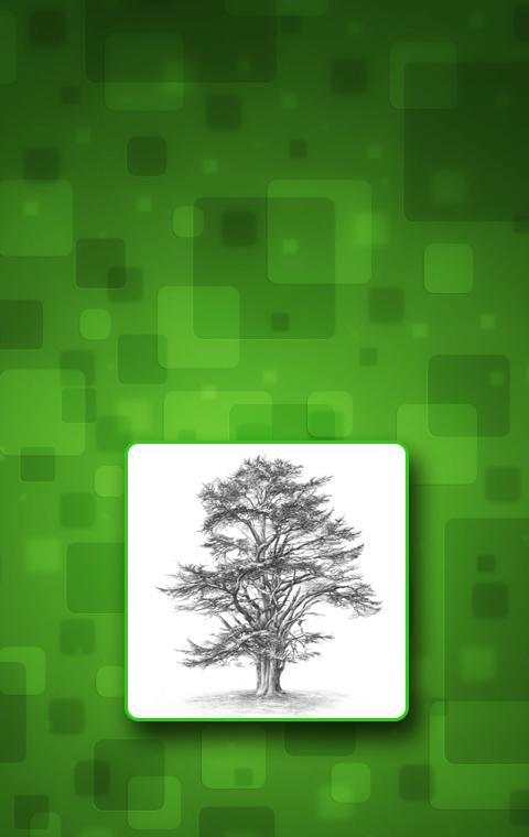 Drawing Trees 1 تصوير الشاشة