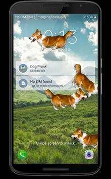 Dog in phone funny joke screenshot 2