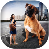 Big Camera - Auto Cut Out - Photo Cut Paste icon