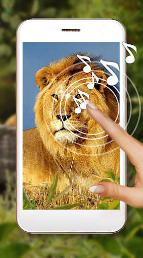 Lion King Jungle screenshot 1