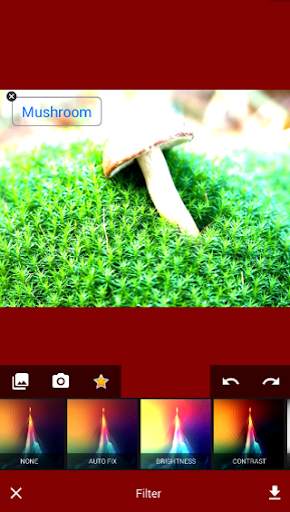 Totally Free Photo Editor screenshot 4