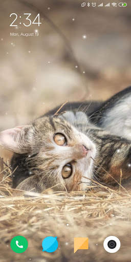 Cat Live Wallpaper screenshot 8